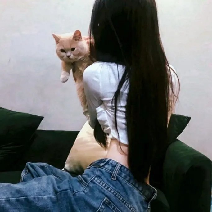 最后的迪斯科